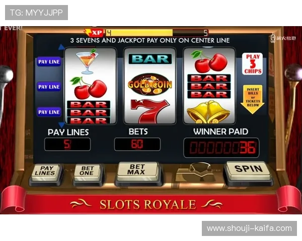 TTG老虎机游戏攻略全面解析提升你的中奖几率