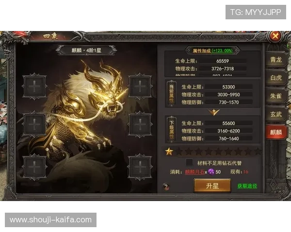 爱玩游戏王者之心战力提升技巧详解让你轻松在战场中占据优势