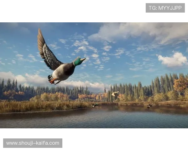 TTG电游热门游戏推荐适合不同玩家的多样选择满足你的休闲娱乐需求